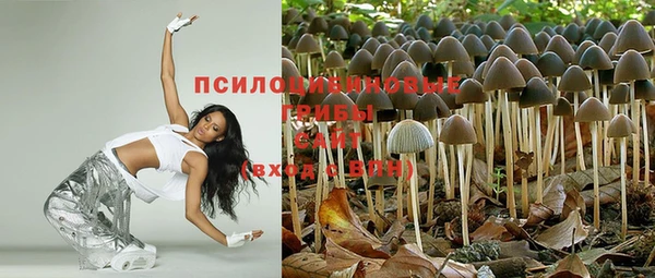 трава Абдулино