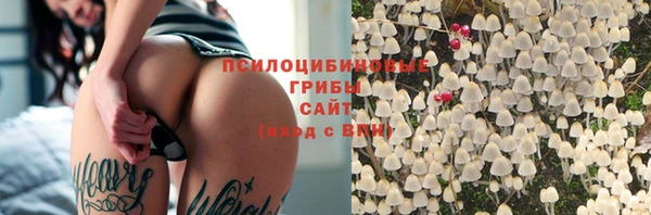мяу мяу мука Абинск