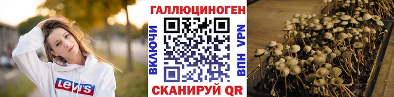 OMG ONION  Соликамск  Псилоцибиновые грибы мухоморы 